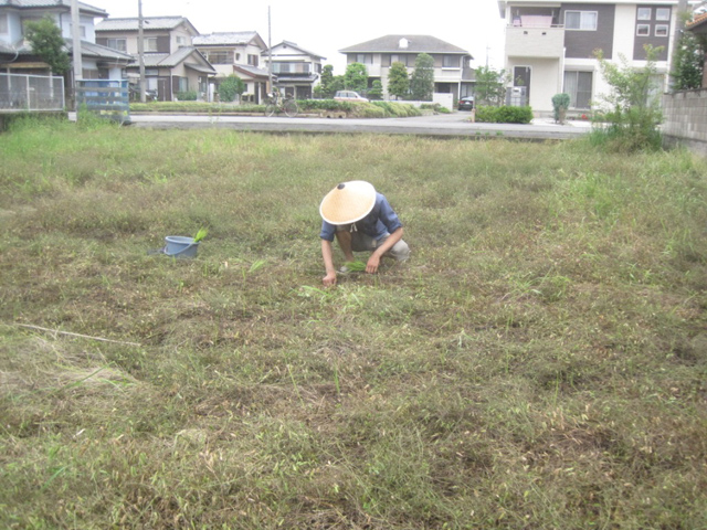 そらのほし農園